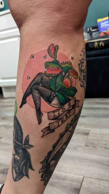 Venus Fly Trap