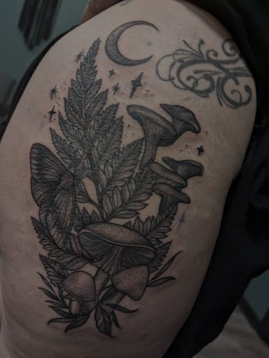 Fern, Mushrooms and Moth