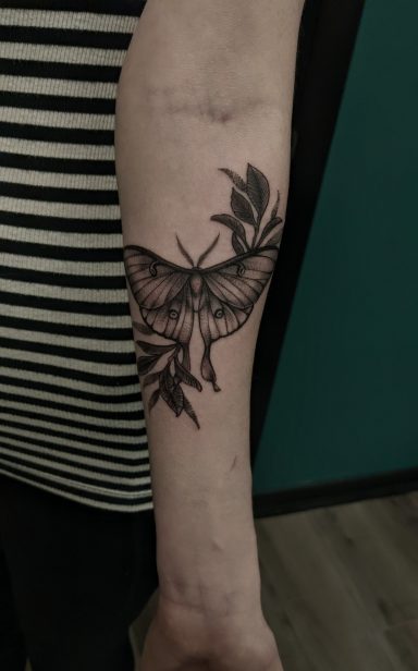 Luna Moth and Flowers