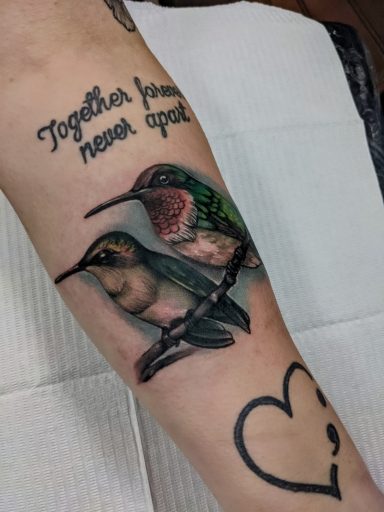 Hummingbirds - Full Color