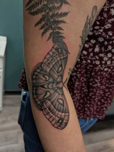 Moth on bend of the arm