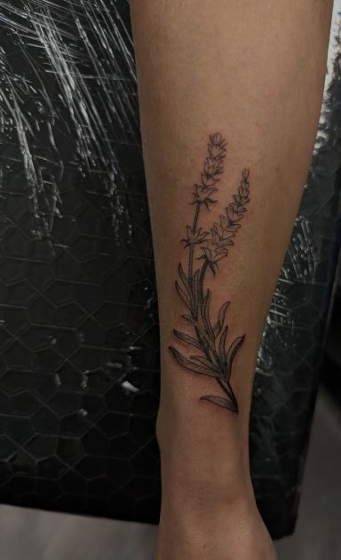 Fineline Lavender