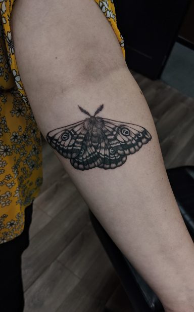 Moth Cover Up