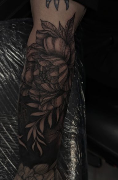 Peony with Black out Background