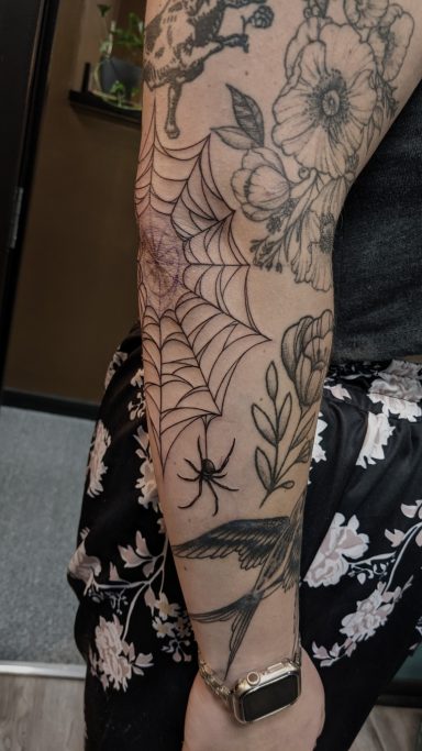 Freehand/Drawn on Spiderweb